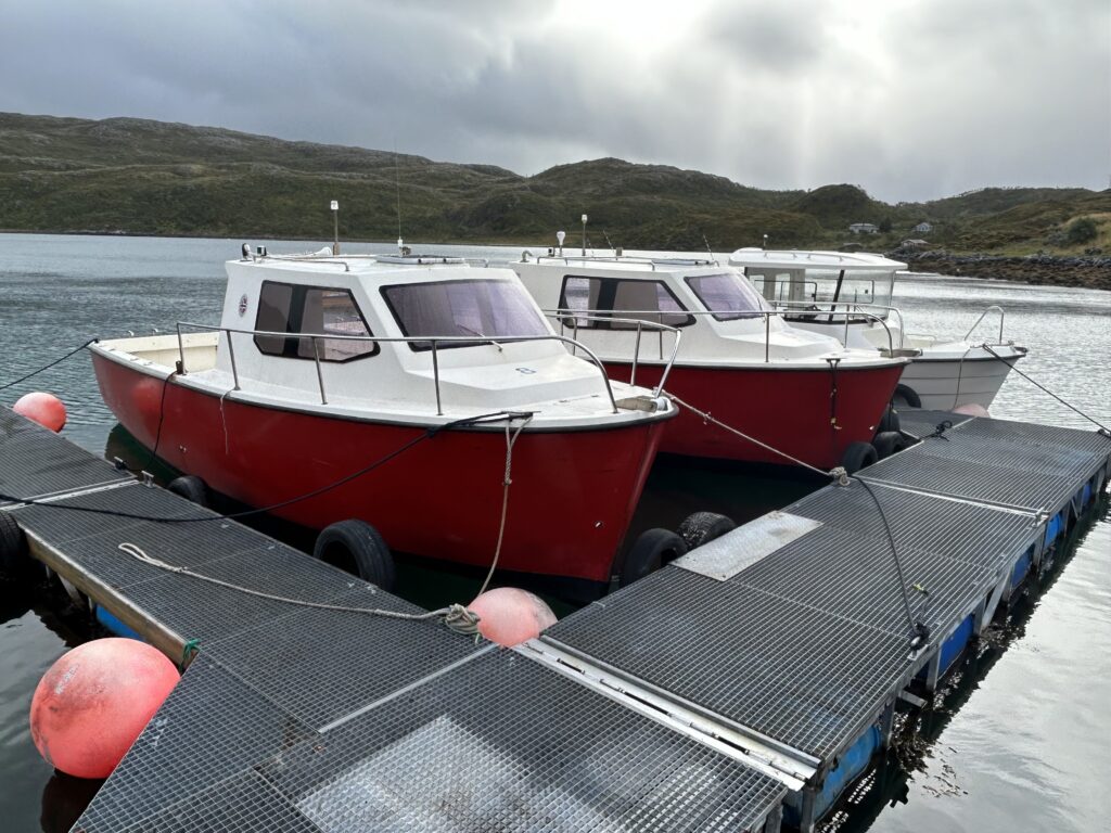 Daryacht 26 Ft